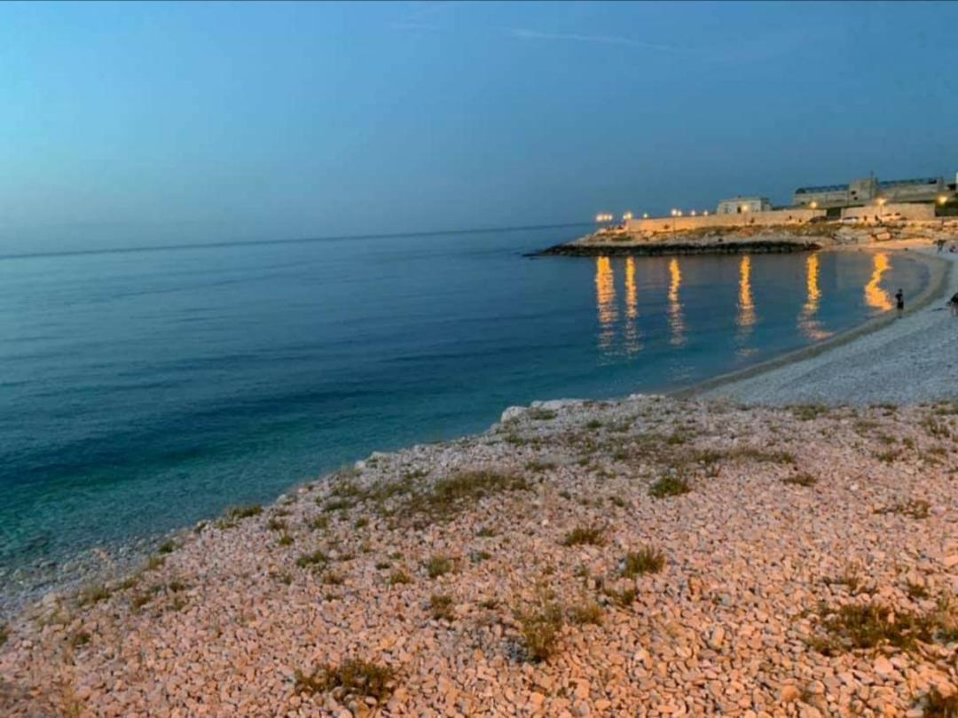 Villa Swamy Μπισέλιε Εξωτερικό φωτογραφία